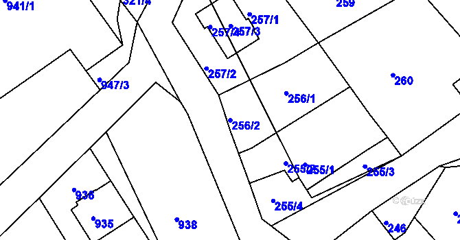 Parcela st. 256/2 v KÚ Borkovany, Katastrální mapa