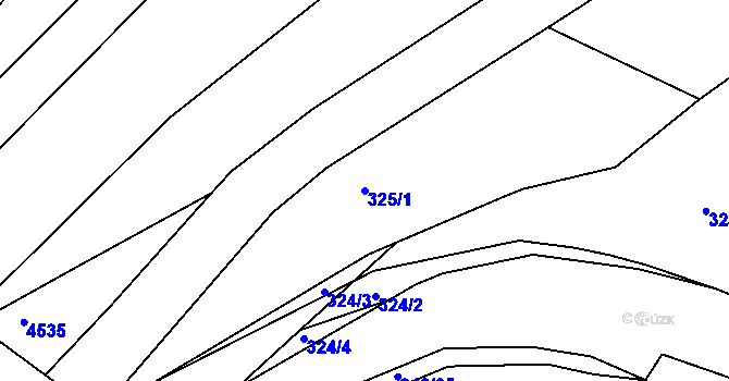 Parcela st. 325/1 v KÚ Borkovany, Katastrální mapa