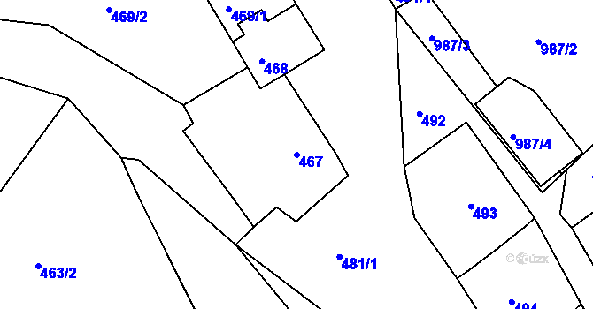 Parcela st. 467 v KÚ Borkovany, Katastrální mapa