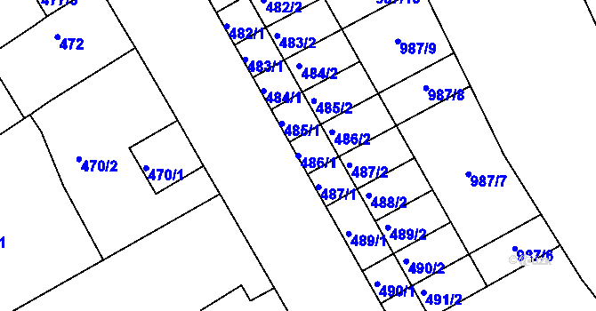 Parcela st. 486/1 v KÚ Borkovany, Katastrální mapa