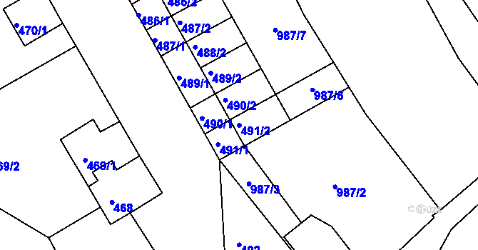 Parcela st. 491/2 v KÚ Borkovany, Katastrální mapa