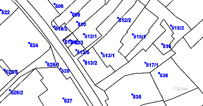 Parcela st. 513/1 v KÚ Borkovany, Katastrální mapa