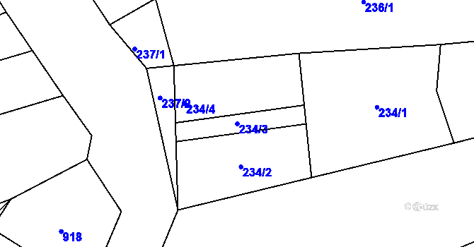 Parcela st. 234/3 v KÚ Borkovany, Katastrální mapa