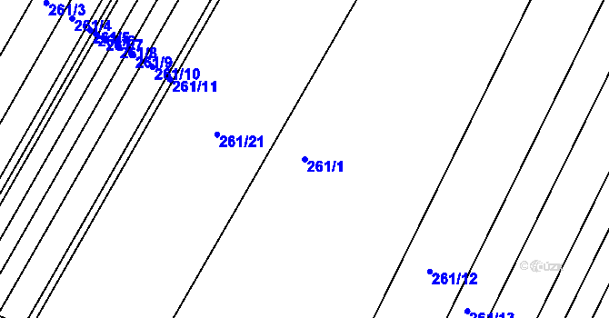 Parcela st. 261/1 v KÚ Borkovice, Katastrální mapa