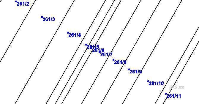 Parcela st. 261/7 v KÚ Borkovice, Katastrální mapa