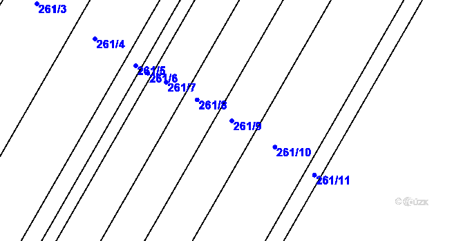 Parcela st. 261/9 v KÚ Borkovice, Katastrální mapa