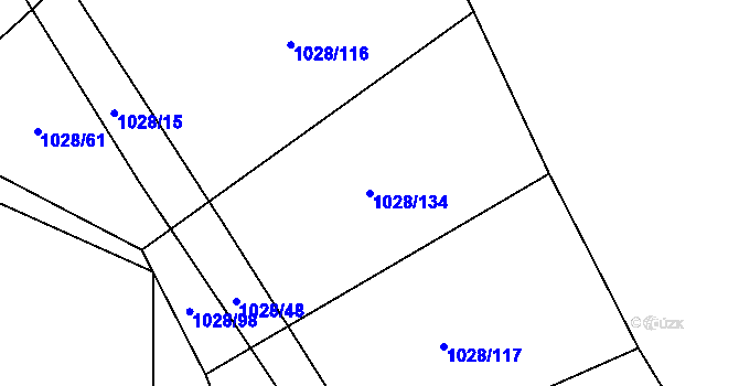 Parcela st. 1028/134 v KÚ Borotín u Tábora, Katastrální mapa