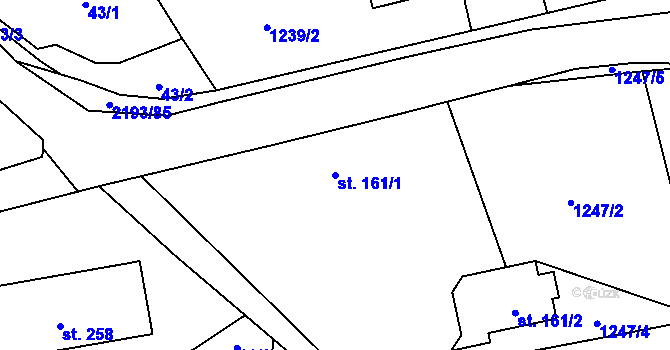 Parcela st. 161/1 v KÚ Borotín u Tábora, Katastrální mapa