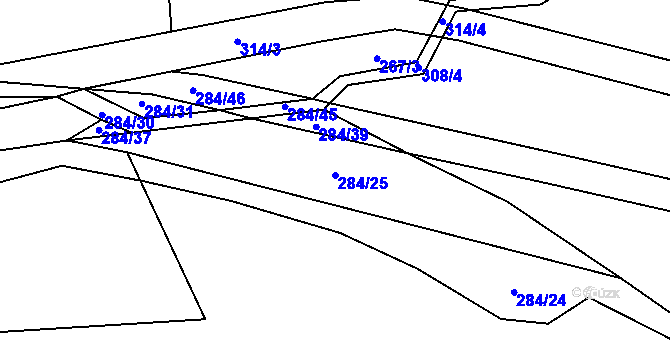 Parcela st. 284/25 v KÚ Kamenná Lhota u Borotína, Katastrální mapa