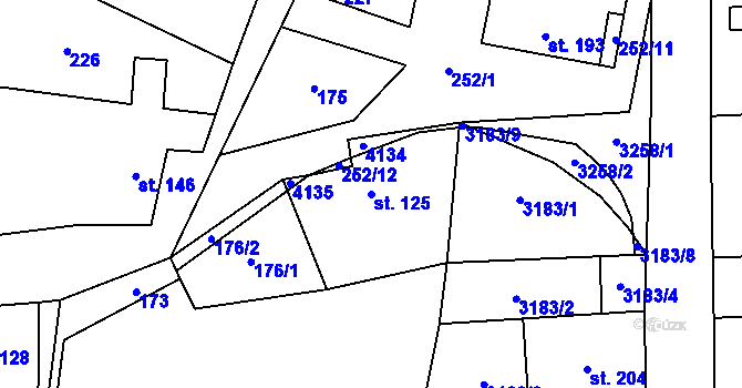 Parcela st. 125 v KÚ Borotín u Boskovic, Katastrální mapa
