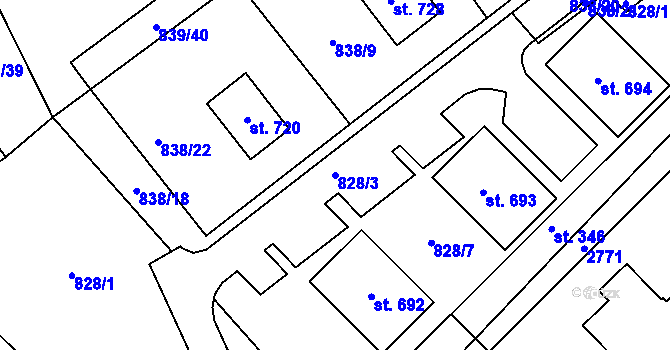 Parcela st. 828/3 v KÚ Borová u Poličky, Katastrální mapa