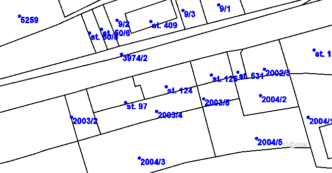 Parcela st. 124 v KÚ Borovany, Katastrální mapa