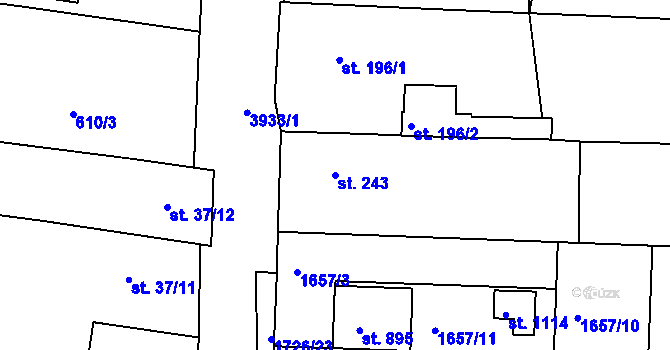Parcela st. 243 v KÚ Borovany, Katastrální mapa