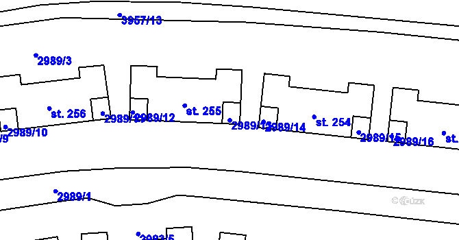 Parcela st. 2989/13 v KÚ Borovany, Katastrální mapa