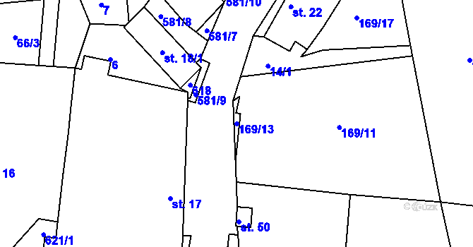 Parcela st. 169/13 v KÚ Borovná, Katastrální mapa