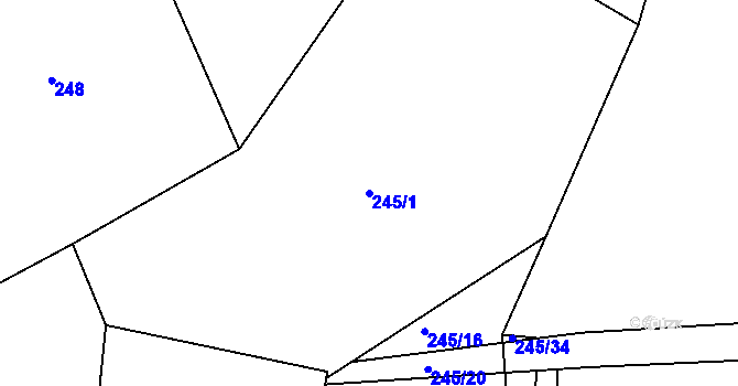 Parcela st. 245/1 v KÚ Borovná, Katastrální mapa
