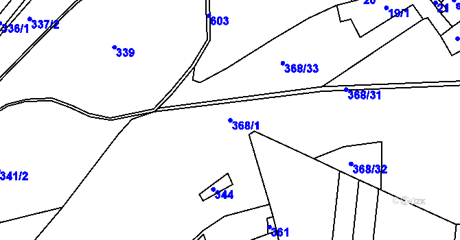 Parcela st. 368/1 v KÚ Borovná, Katastrální mapa