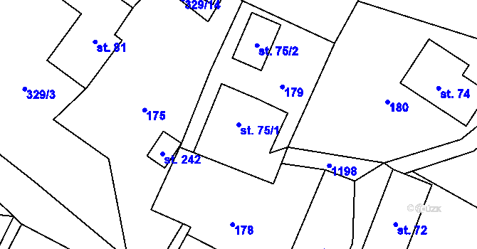 Parcela st. 75/1 v KÚ Borovnička, Katastrální mapa