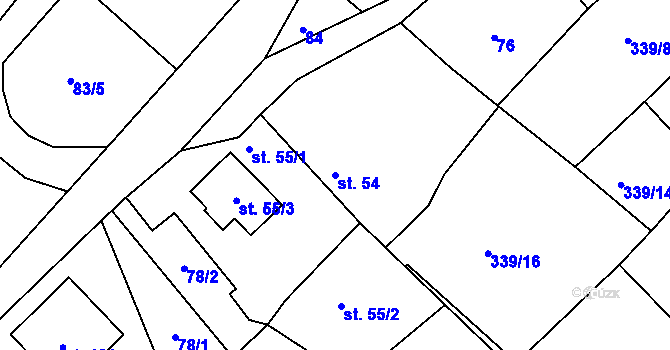 Parcela st. 54 v KÚ Borovy, Katastrální mapa