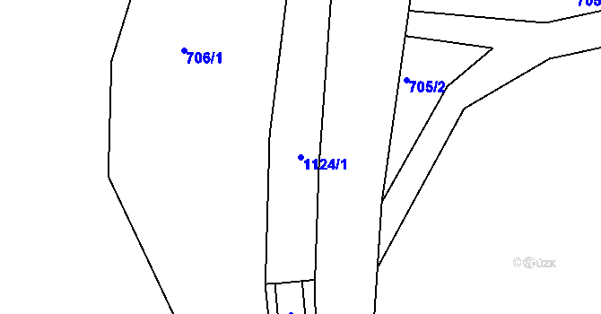 Parcela st. 1124/1 v KÚ Borovy, Katastrální mapa