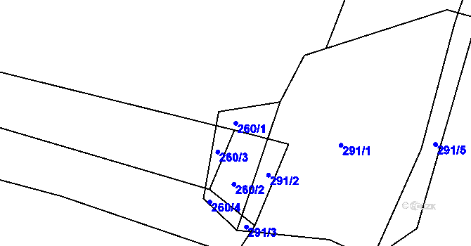 Parcela st. 260/1 v KÚ Borovy, Katastrální mapa