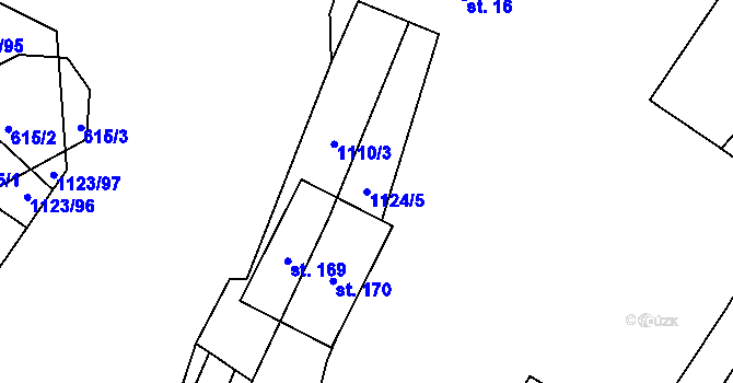 Parcela st. 1124/5 v KÚ Borovy, Katastrální mapa
