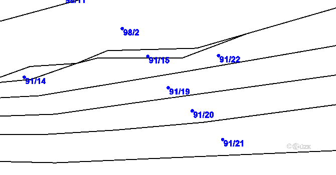 Parcela st. 91/19 v KÚ Borovy, Katastrální mapa