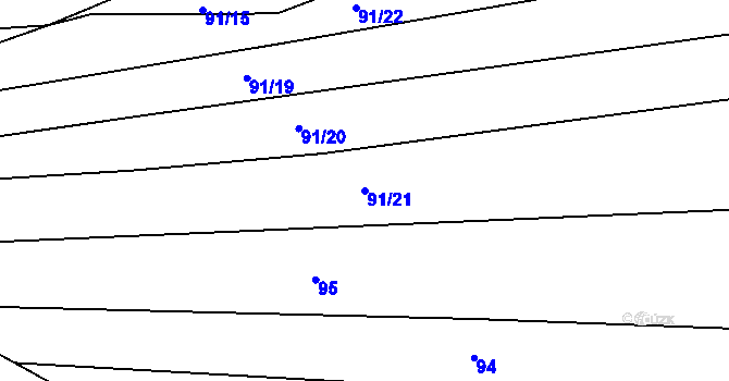Parcela st. 91/21 v KÚ Borovy, Katastrální mapa