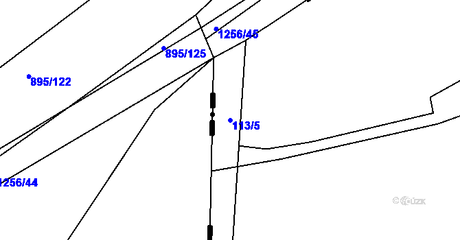 Parcela st. 113/5 v KÚ Borovy, Katastrální mapa