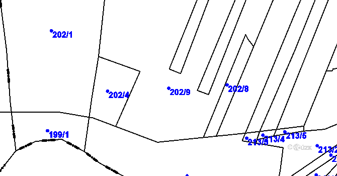 Parcela st. 202/9 v KÚ Borovy, Katastrální mapa