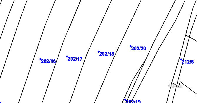 Parcela st. 202/18 v KÚ Borovy, Katastrální mapa