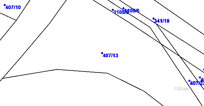 Parcela st. 407/13 v KÚ Borovy, Katastrální mapa