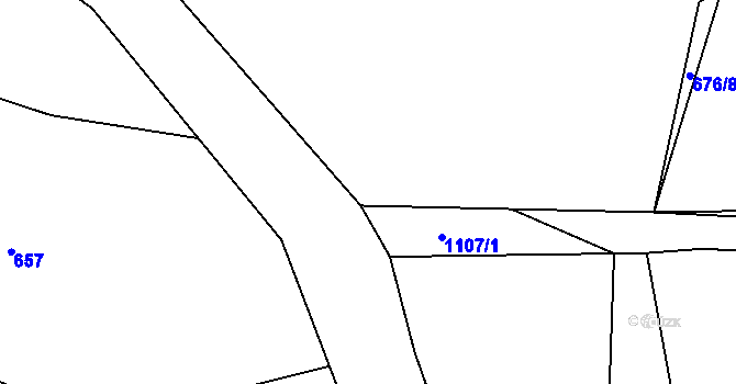 Parcela st. 676/4 v KÚ Borovy, Katastrální mapa