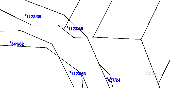 Parcela st. 1123/60 v KÚ Borovy, Katastrální mapa