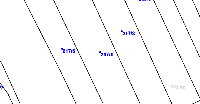 Parcela st. 217/1 v KÚ Boršice u Blatnice, Katastrální mapa