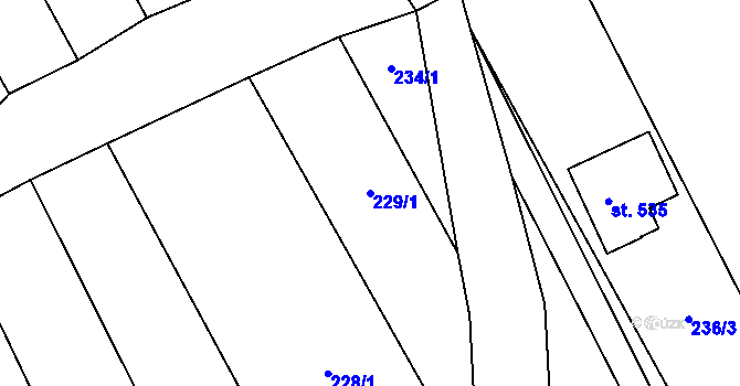 Parcela st. 229/1 v KÚ Boršice u Blatnice, Katastrální mapa