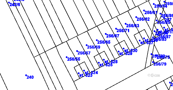 Parcela st. 256/59 v KÚ Boršice u Blatnice, Katastrální mapa
