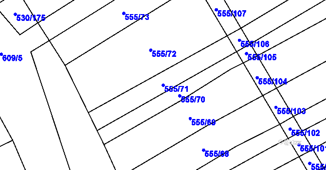 Parcela st. 555/71 v KÚ Boršice u Blatnice, Katastrální mapa