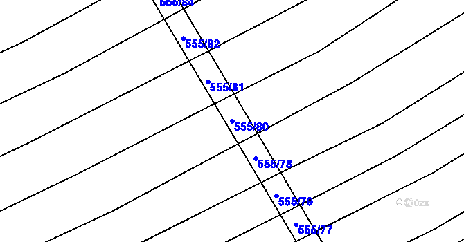 Parcela st. 555/80 v KÚ Boršice u Blatnice, Katastrální mapa