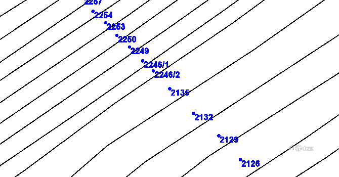 Parcela st. 2135 v KÚ Boršice u Blatnice, Katastrální mapa