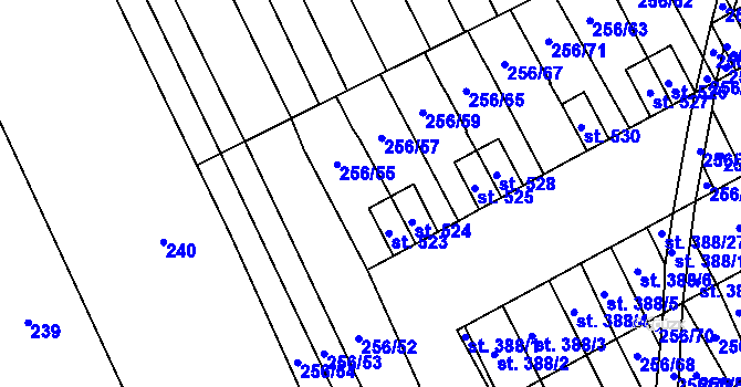 Parcela st. 256/56 v KÚ Boršice u Blatnice, Katastrální mapa