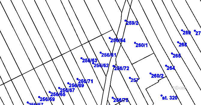 Parcela st. 256/61 v KÚ Boršice u Blatnice, Katastrální mapa