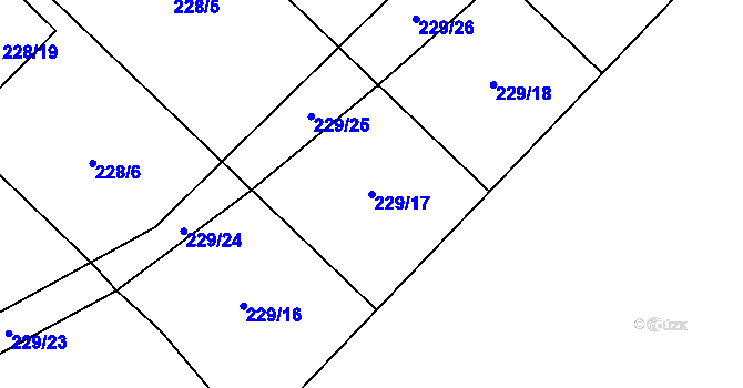 Parcela st. 229/17 v KÚ Boršov nad Vltavou, Katastrální mapa