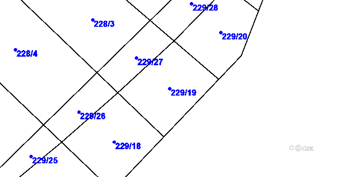 Parcela st. 229/19 v KÚ Boršov nad Vltavou, Katastrální mapa