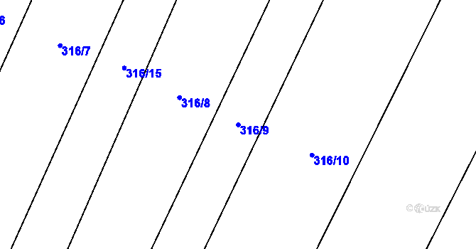 Parcela st. 316/9 v KÚ Boršov nad Vltavou, Katastrální mapa