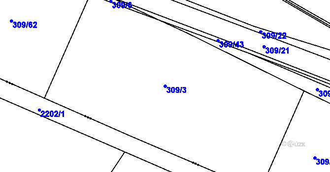 Parcela st. 309/3 v KÚ Borušov, Katastrální mapa