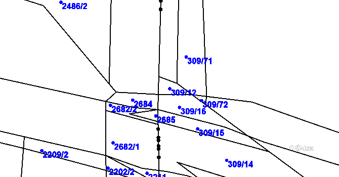 Parcela st. 309/12 v KÚ Borušov, Katastrální mapa