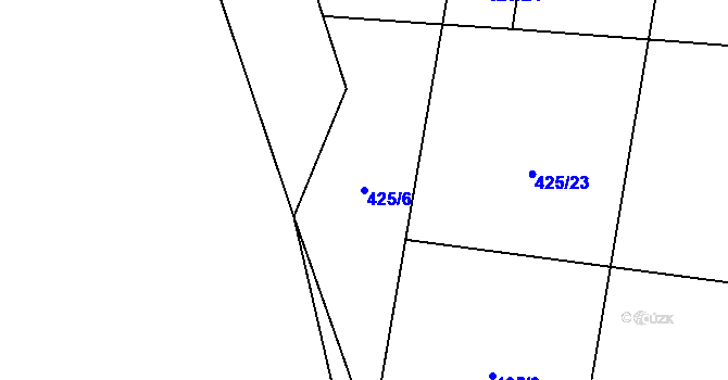 Parcela st. 425/6 v KÚ Svojanov u Borušova, Katastrální mapa