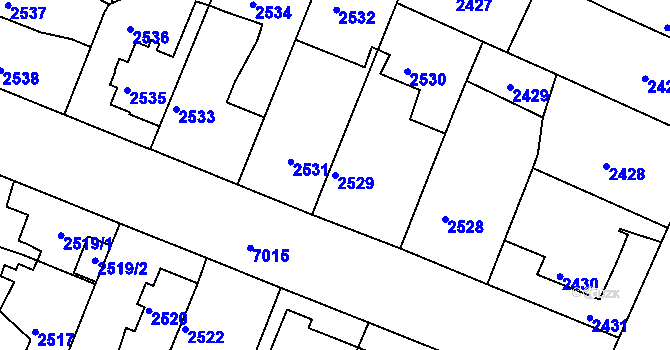Parcela st. 2529 v KÚ Boskovice, Katastrální mapa