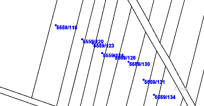 Parcela st. 5559/124 v KÚ Boskovice, Katastrální mapa